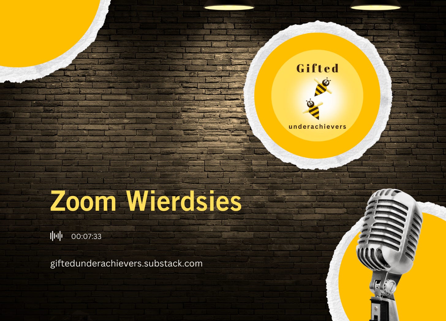 Zoom Weirdsies episode artwork