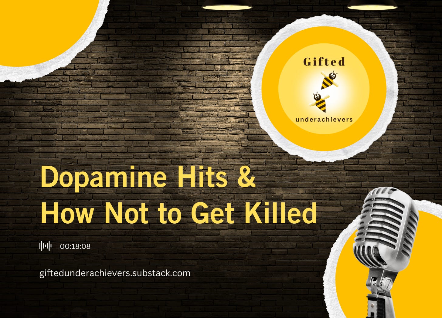 Dopamine Hits & How to Not Get Killed episode artwork