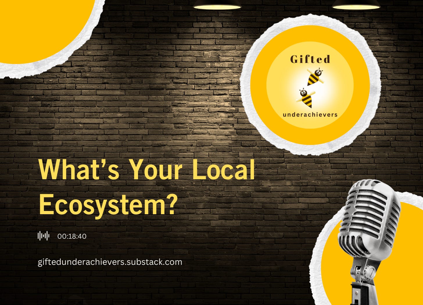 What's Your Local Ecosystem? episode artwork