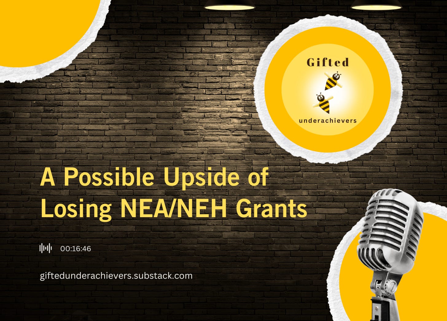 A Possible Upside of Losing US NEA/NEH Grants episode artwork