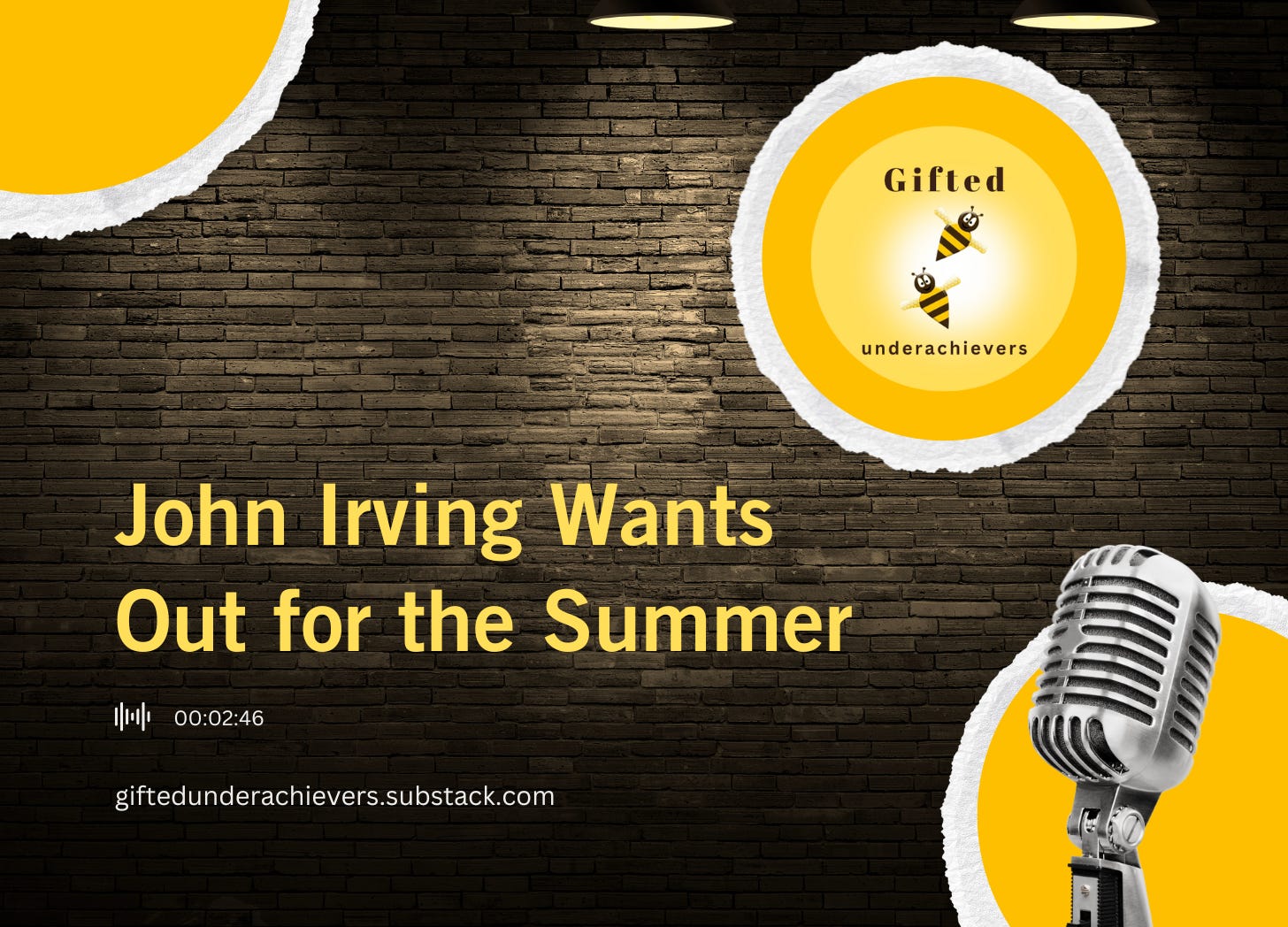 John Irving Wants Out for the Summer episode artwork