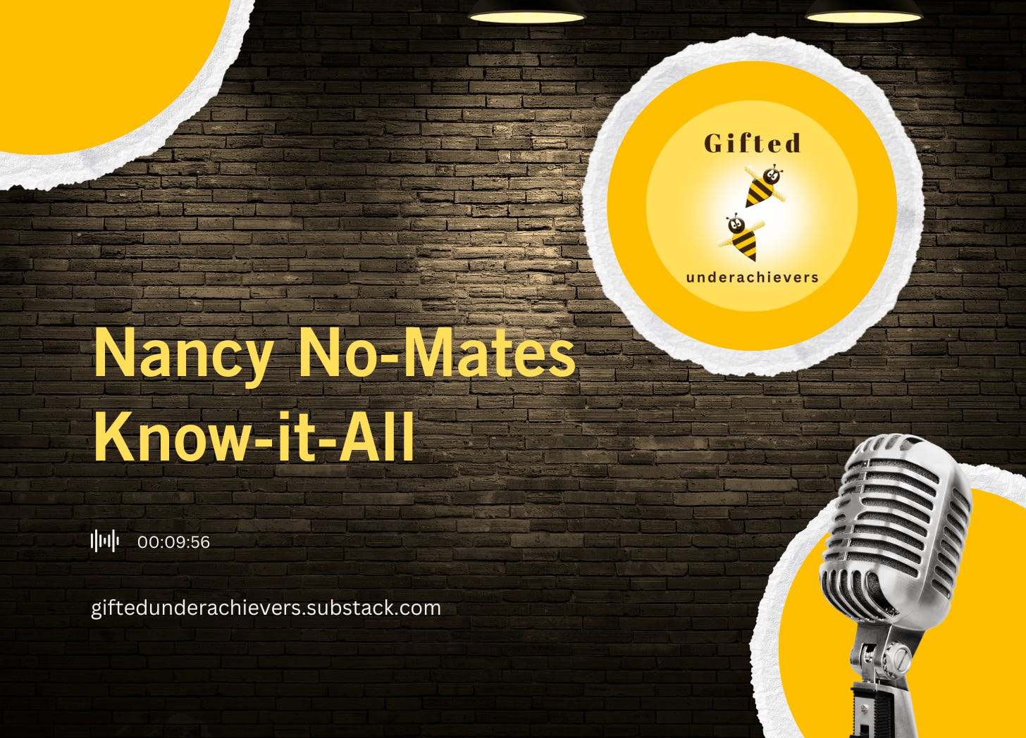 Nancy No-Mates Know-it-All (silly) episode artwork