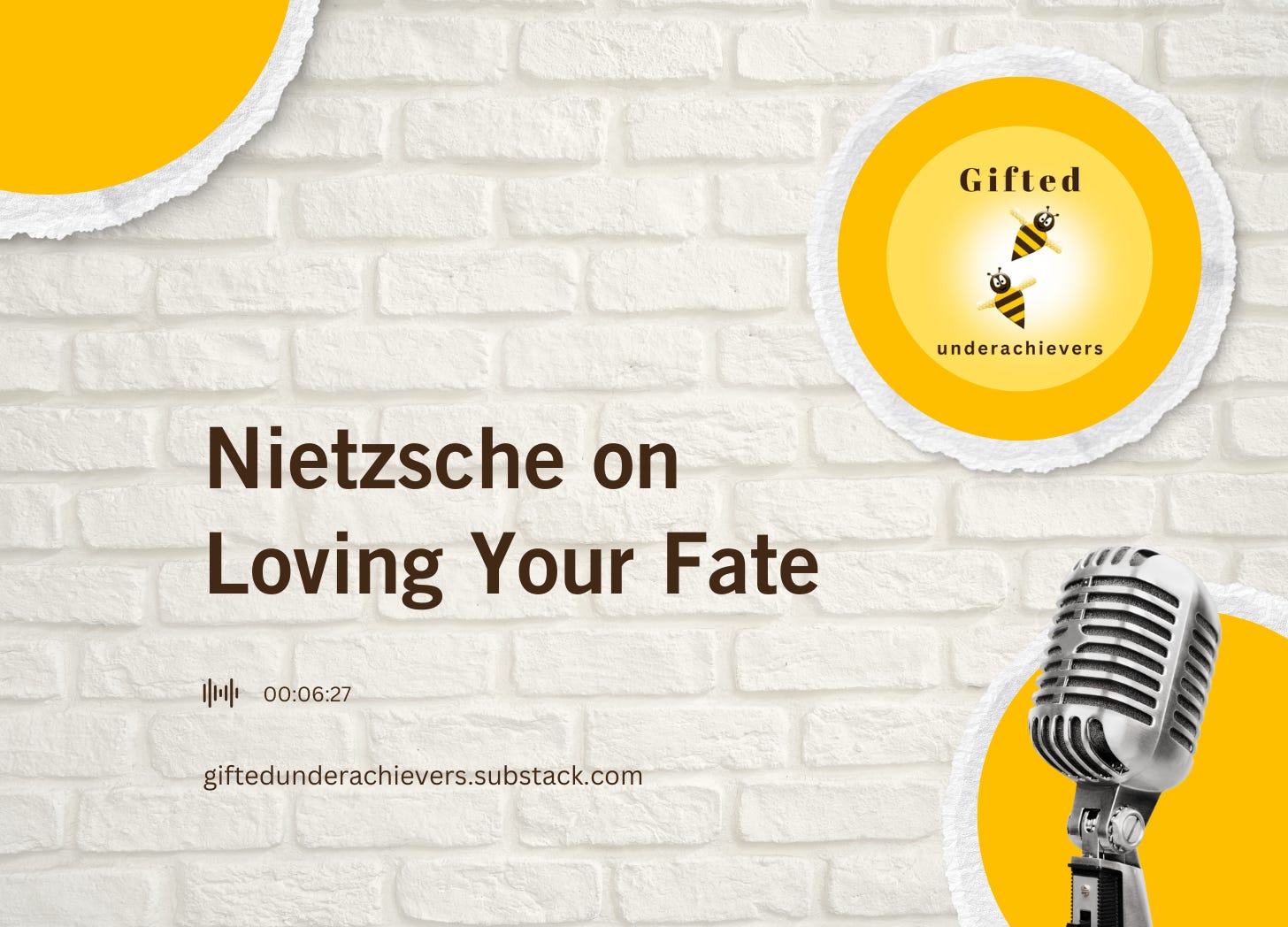 Nietzsche on Loving Your Fate  episode artwork