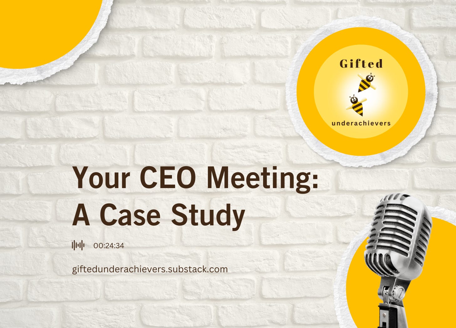 Your CEO Meeting: A Case Study episode artwork