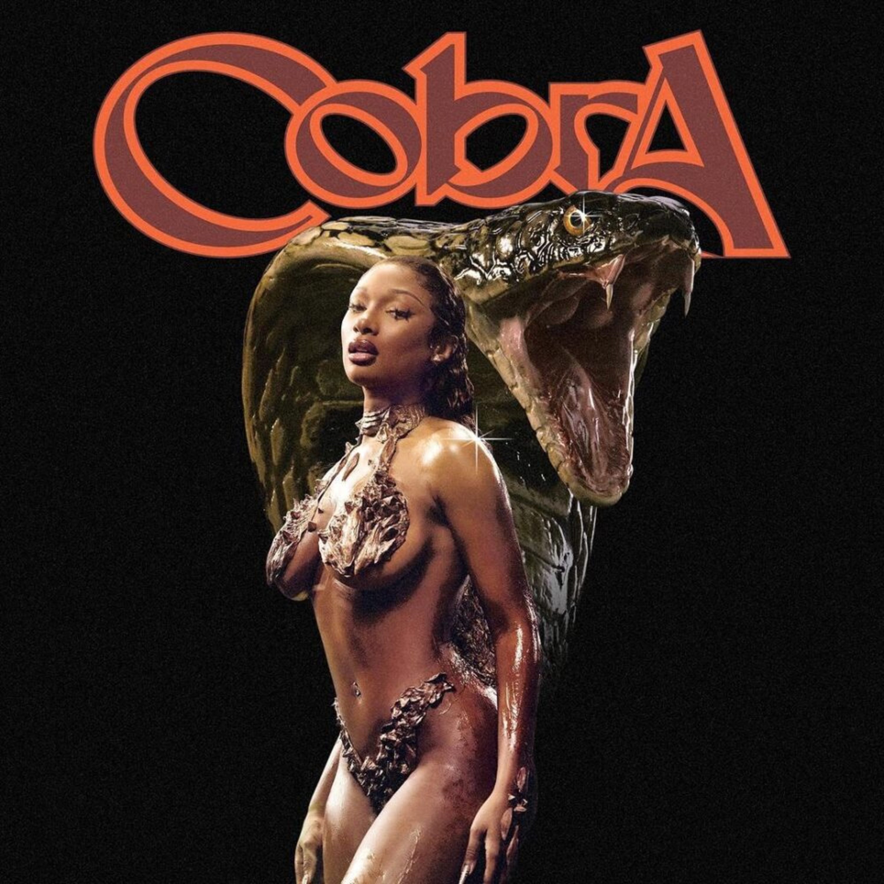 Megan stallion cobra episode artwork
