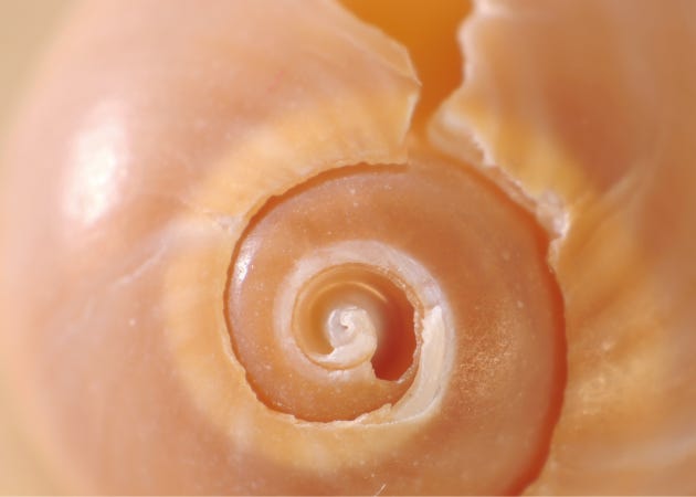 Summer! A lot of a lot! How I’m restoring stability to my nervous system through this fast, intense season