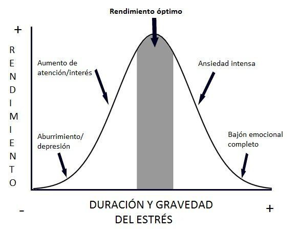 Human-Centered Management