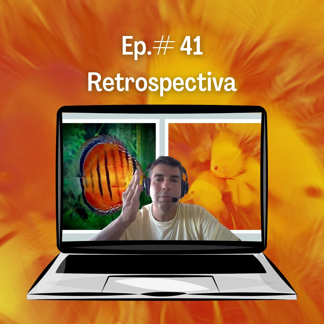41. Retrospectiva 41. Retrospectiva