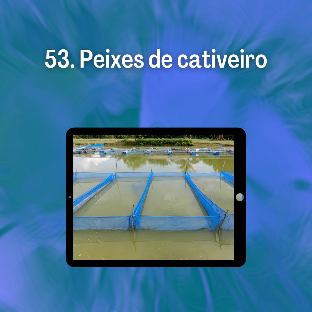 53. Peixes de cativeiro 53. Peixes de cativeiro