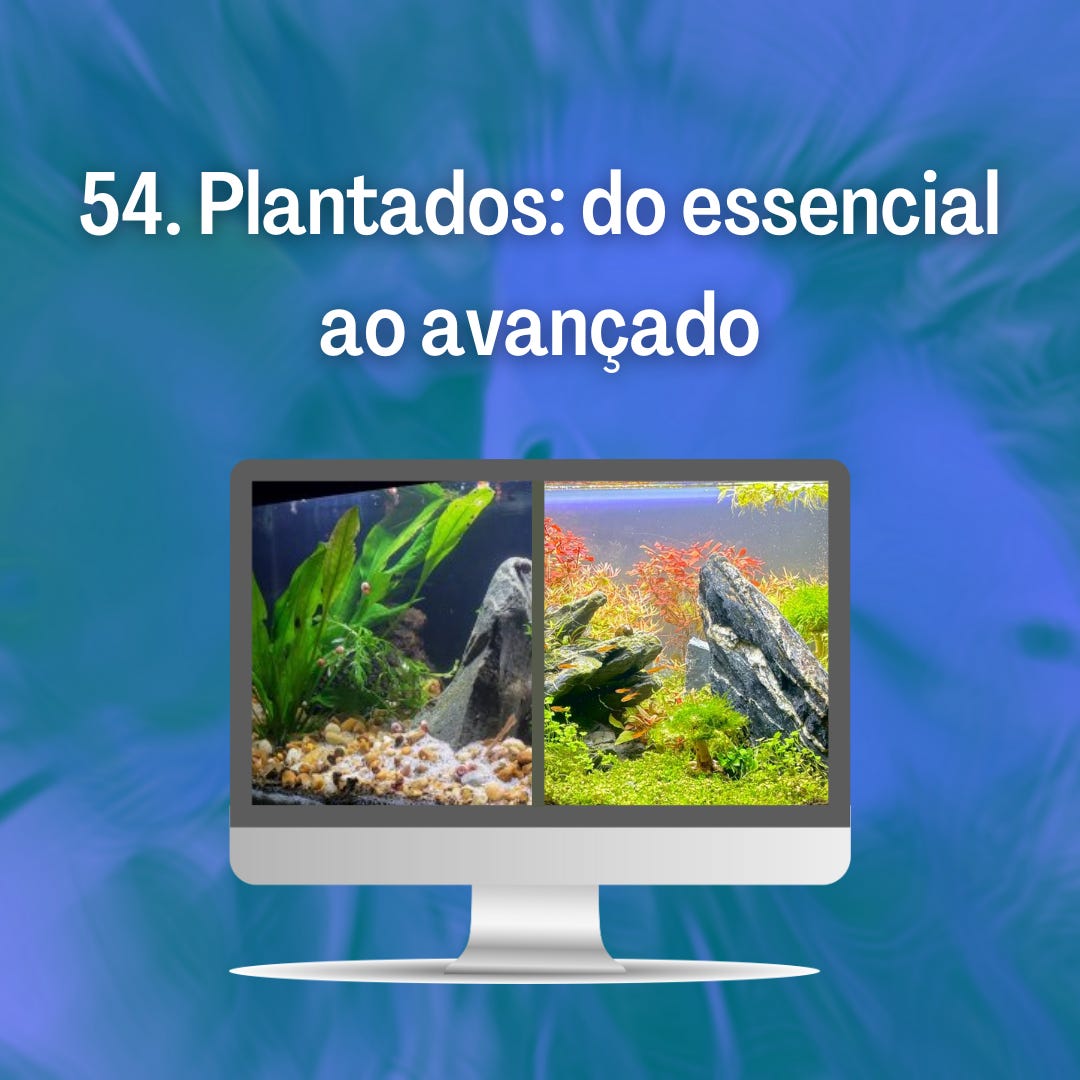 54. Plantados: do essencial ao avançado 54. Plantados: do essencial ao avançado