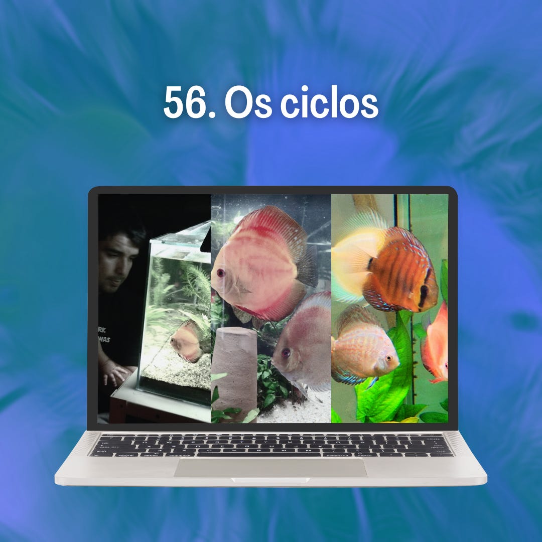 56. Os ciclos 56. Os ciclos