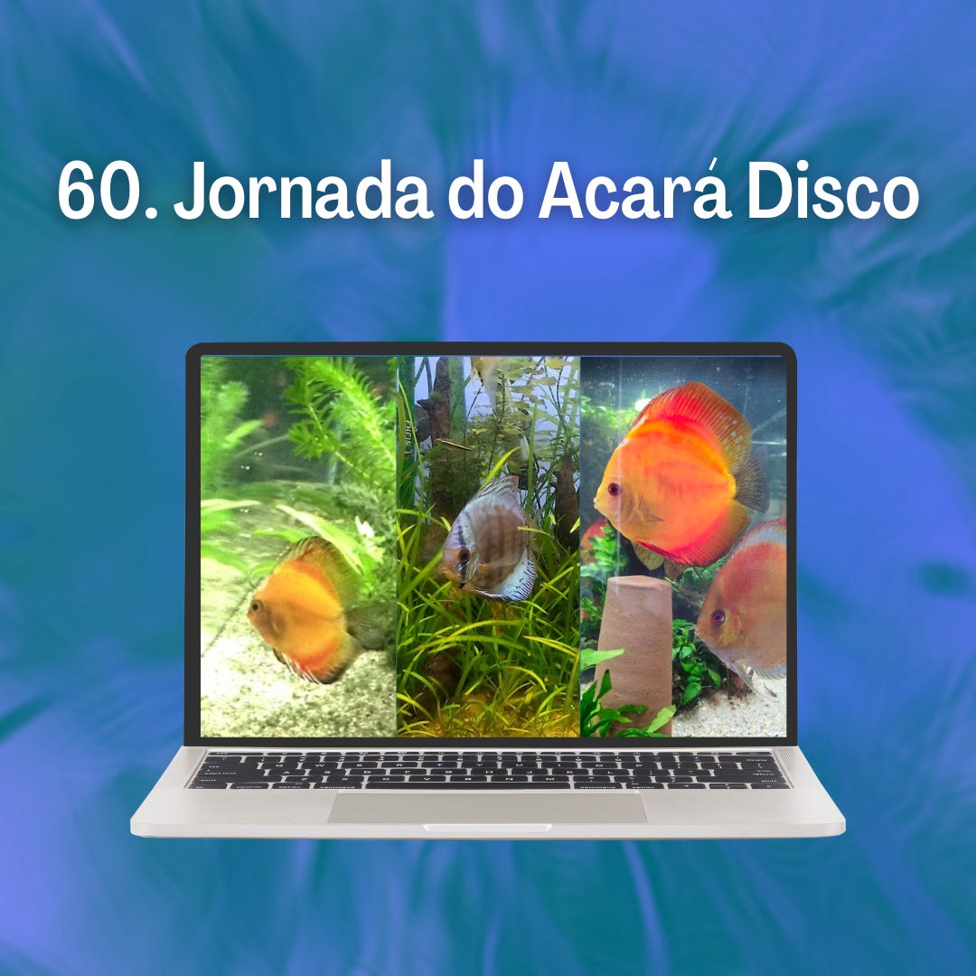 60. Jornada do Acará Disco