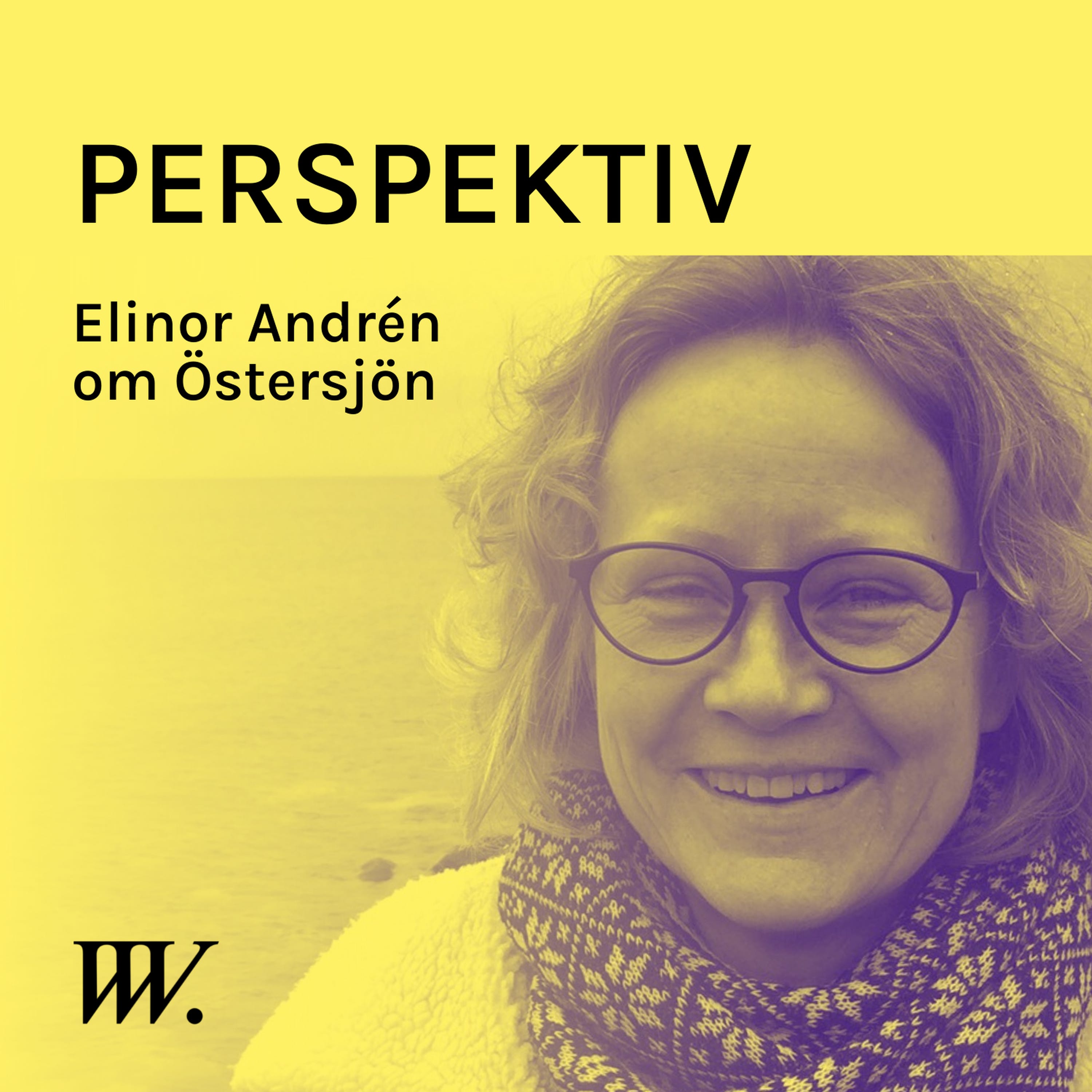 76. Om Östersjön och hur vi undviker att göra läget ännu värre - med forskaren Elinor Andrén episode artwork