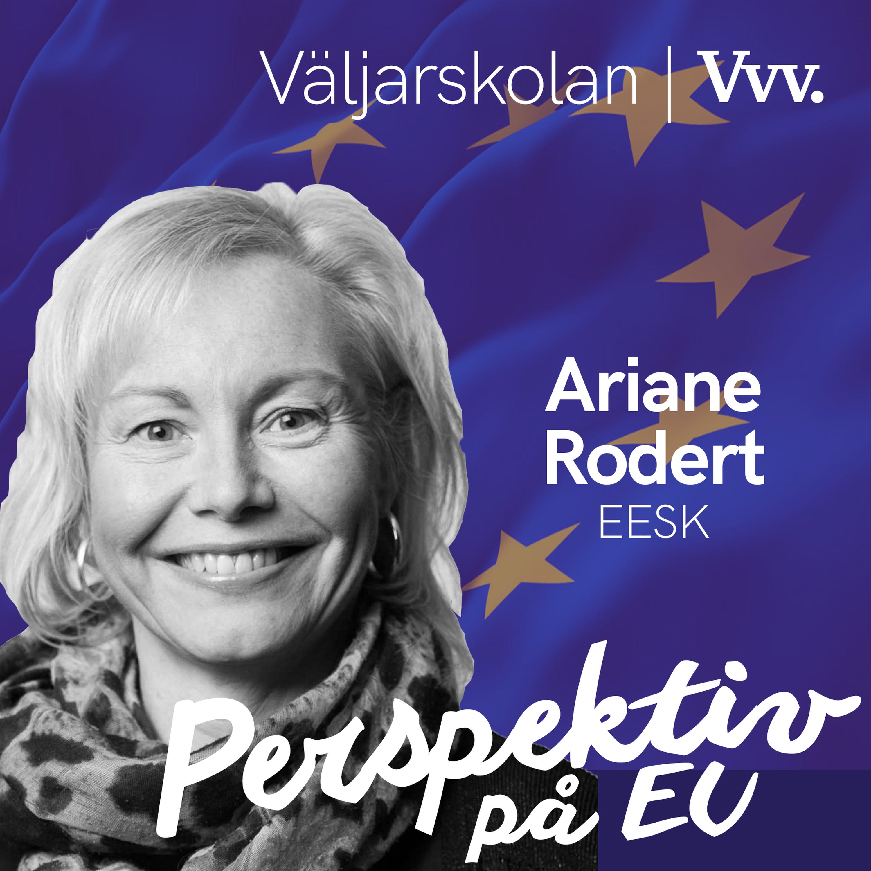 17. [Valspecial] Om hur EU-kommissionen tar in synpunker inför nya lagförslag - med Ariane Rodert episode artwork