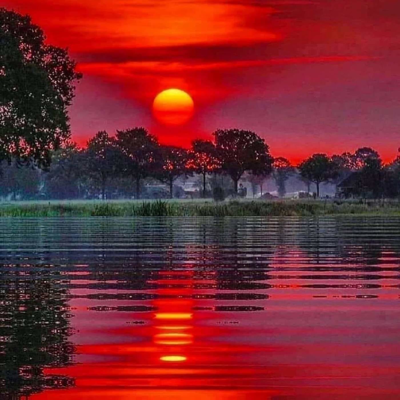 Sage of Quay with Jack Heart - January 2021