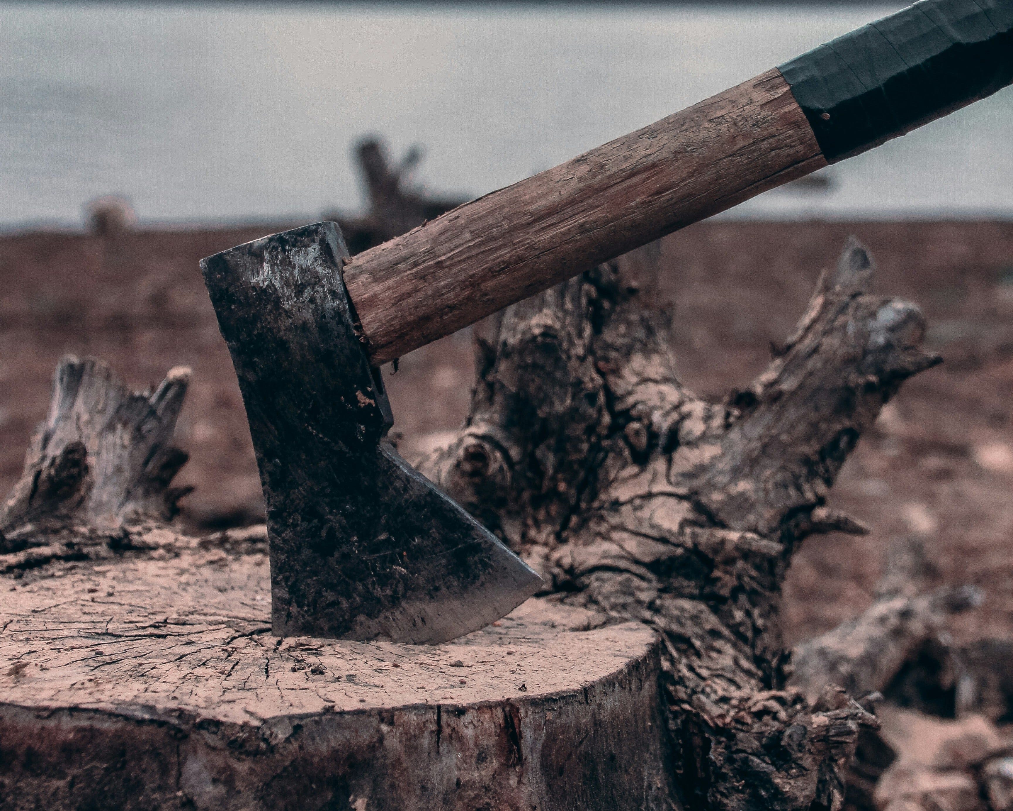 문을 두드리는 밤 - The Night of Knocking