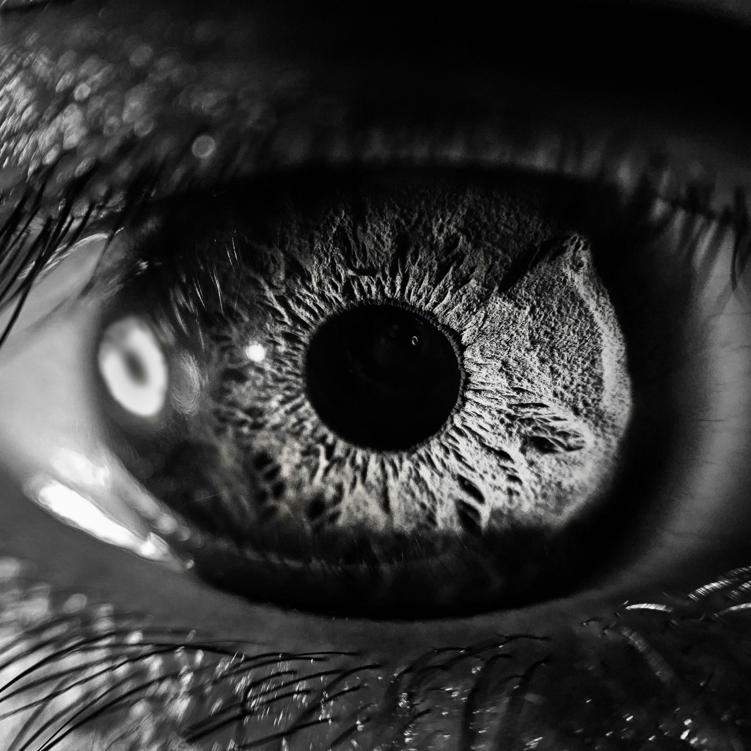 깜빡임 사이의 삶 - Life Between Blinks