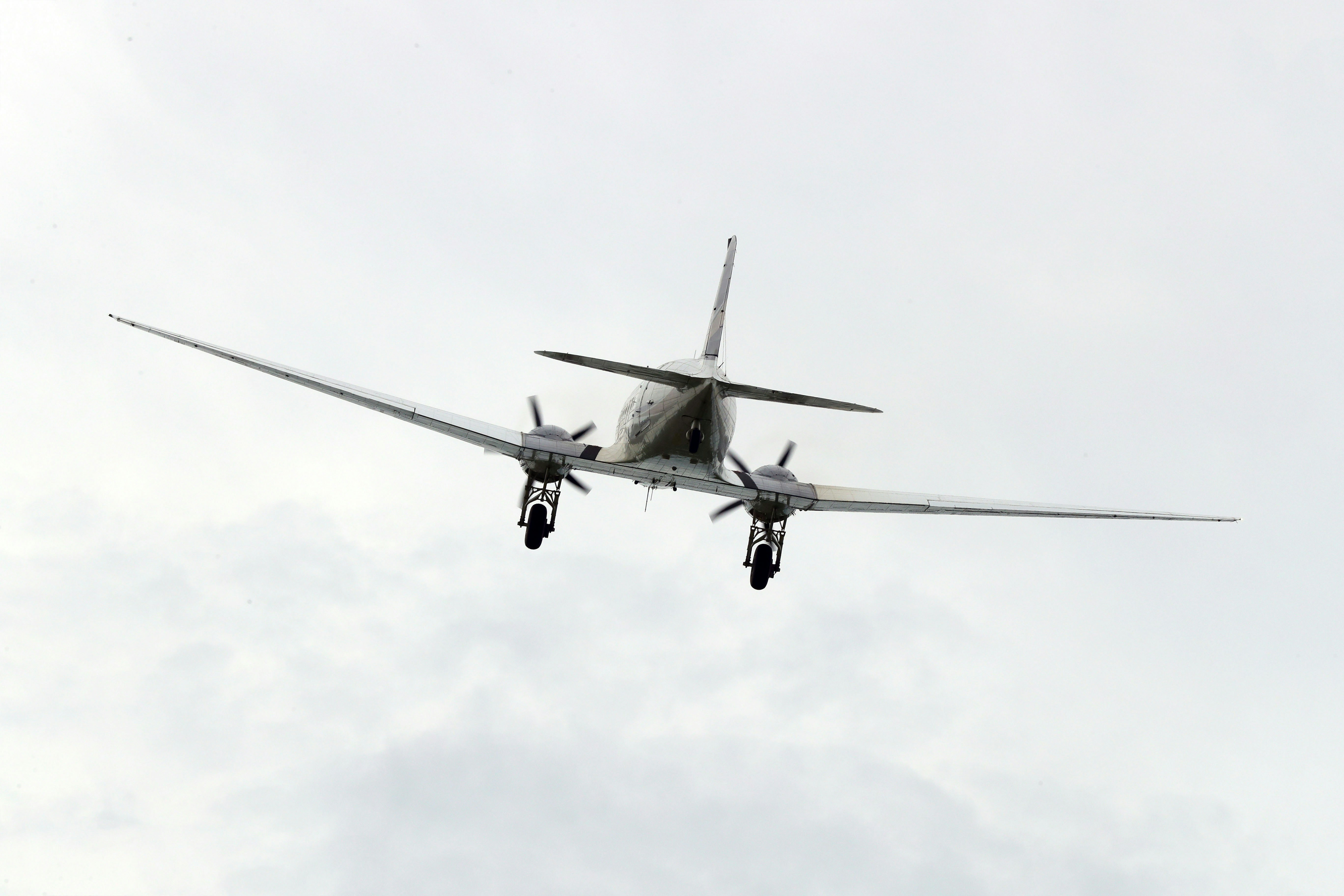 옥색 침입자 - The Jade Intruder