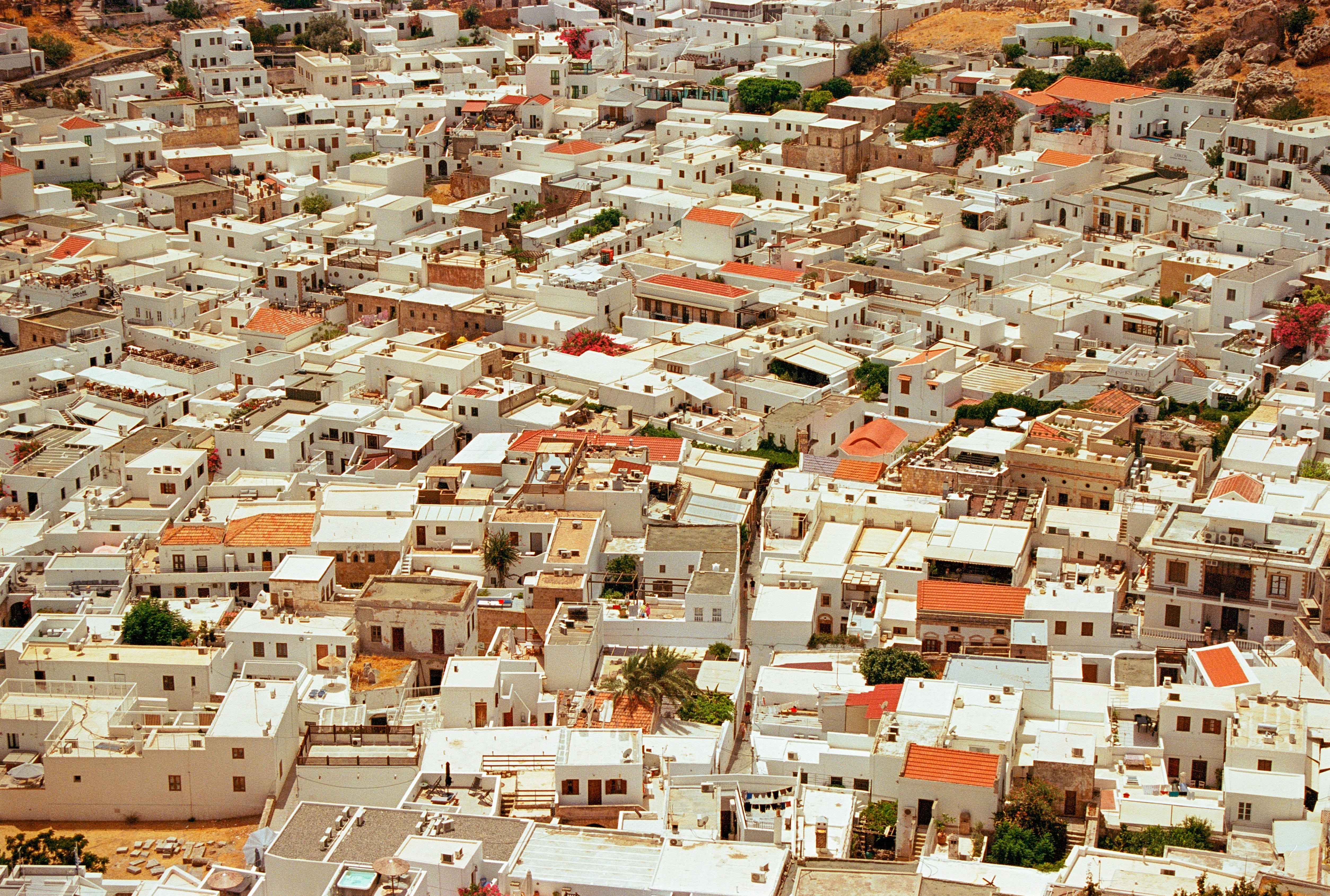 갈매기와 깡패의 추격전 – Chased by Seagulls and Thugs