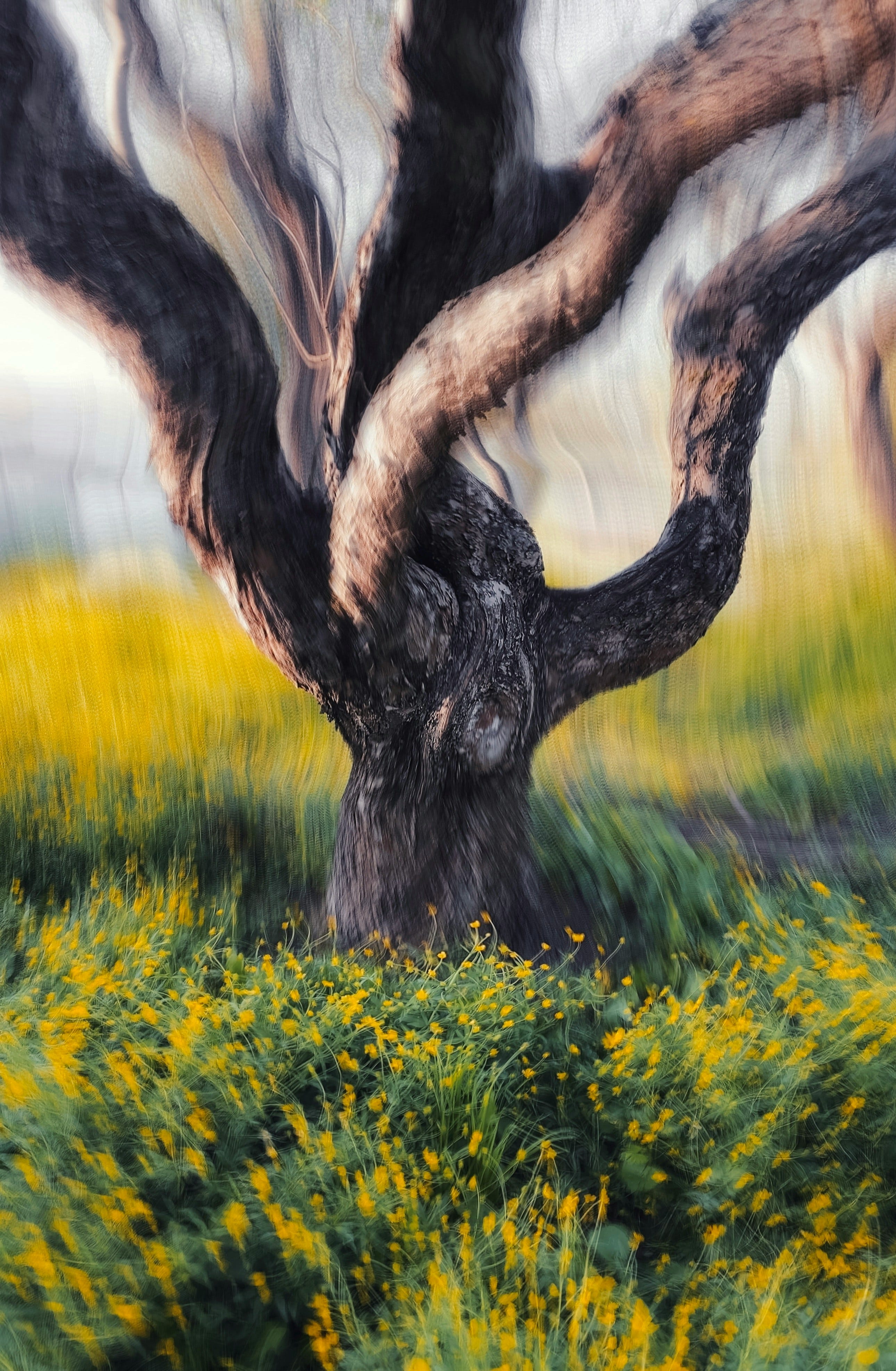 나무의 뿌리가 나를 감쌀 때 – When the Tree's Roots Enclose Me