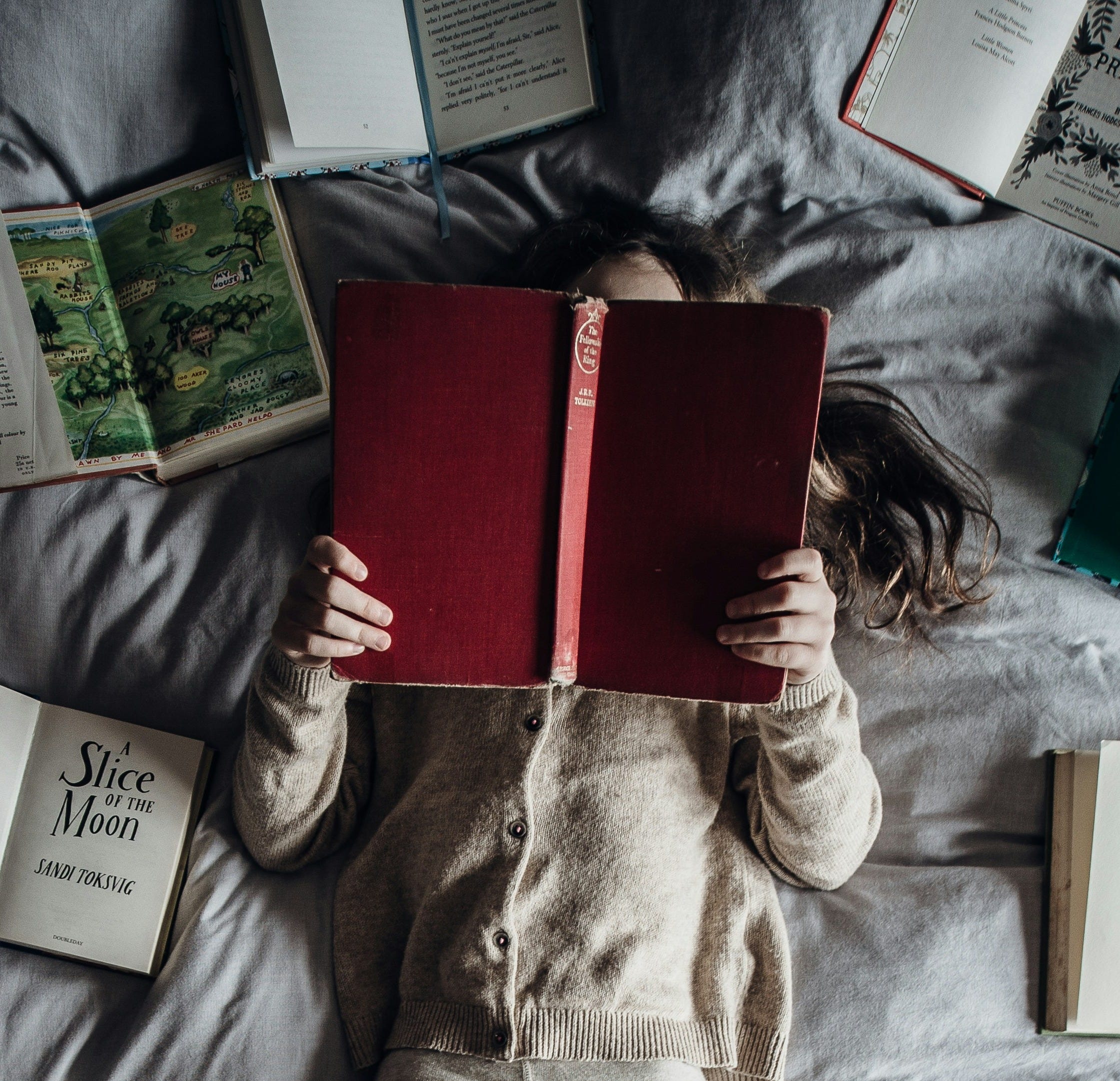 독서를 위한 간청 - A Plea for Reading