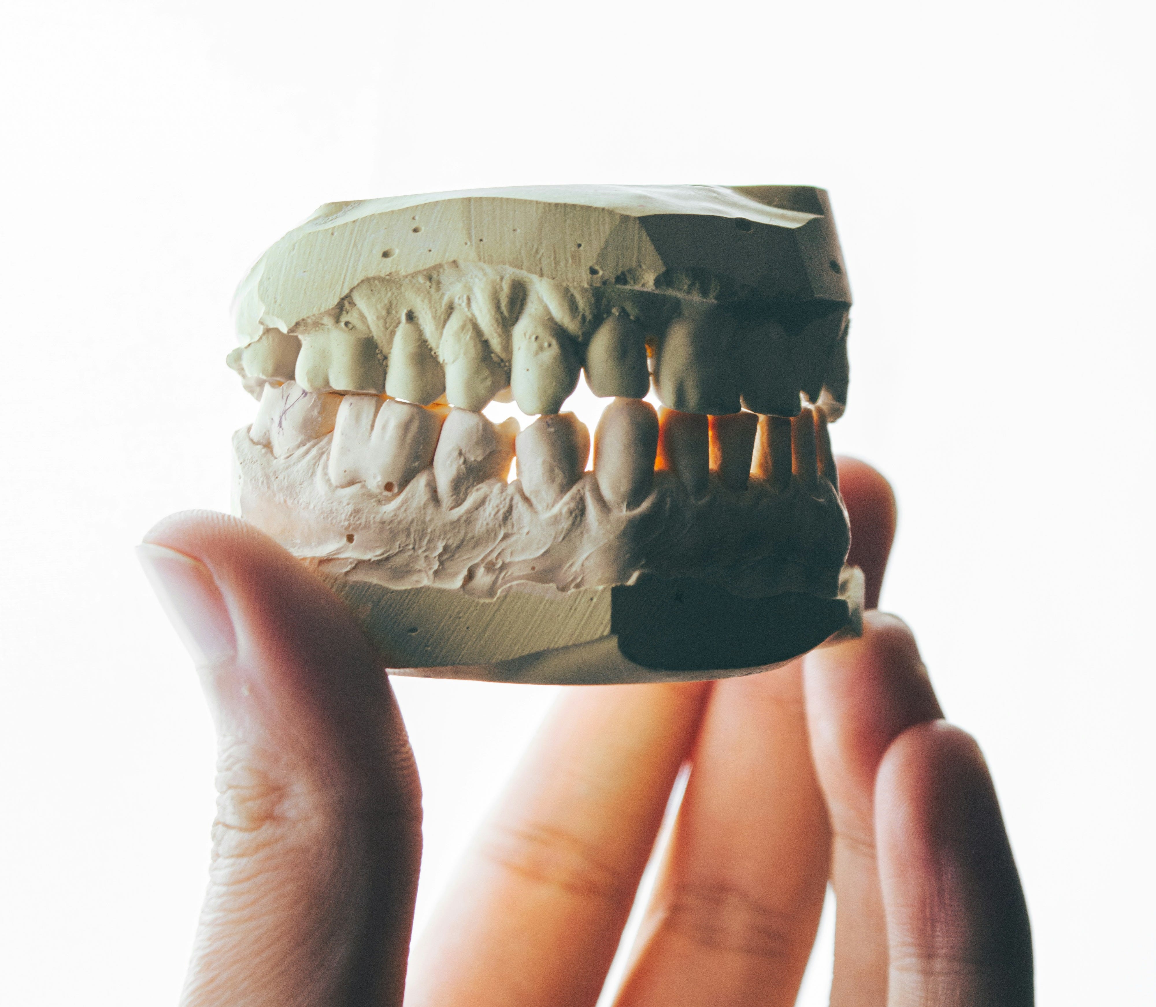 수집가 - The Collector