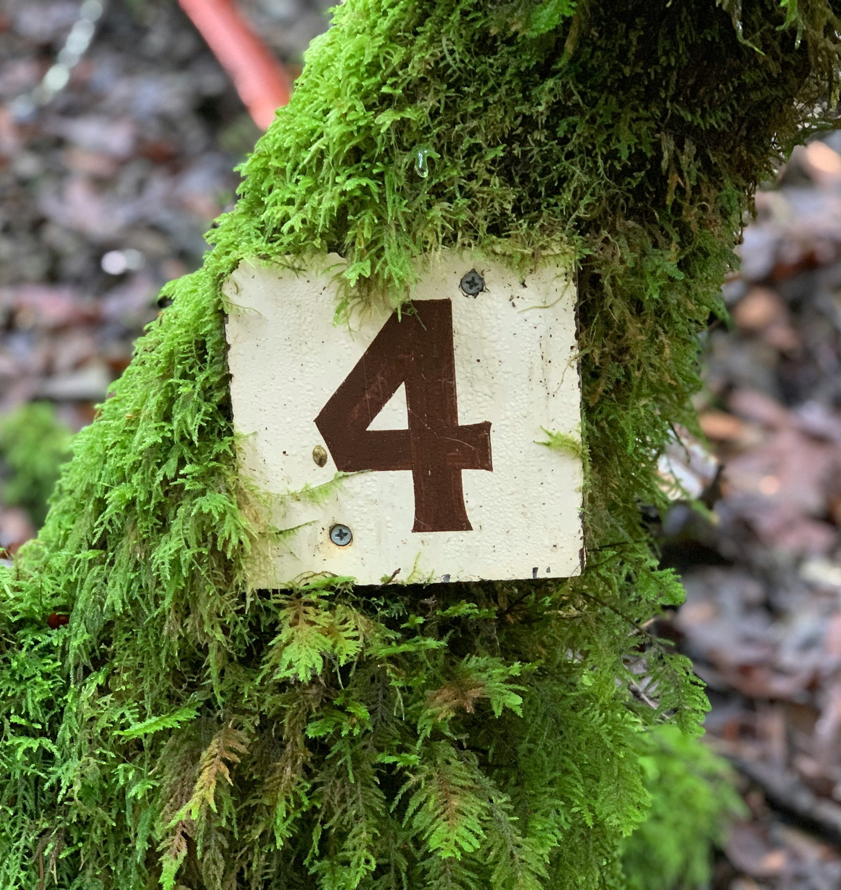 한국어 문장 마스터 4