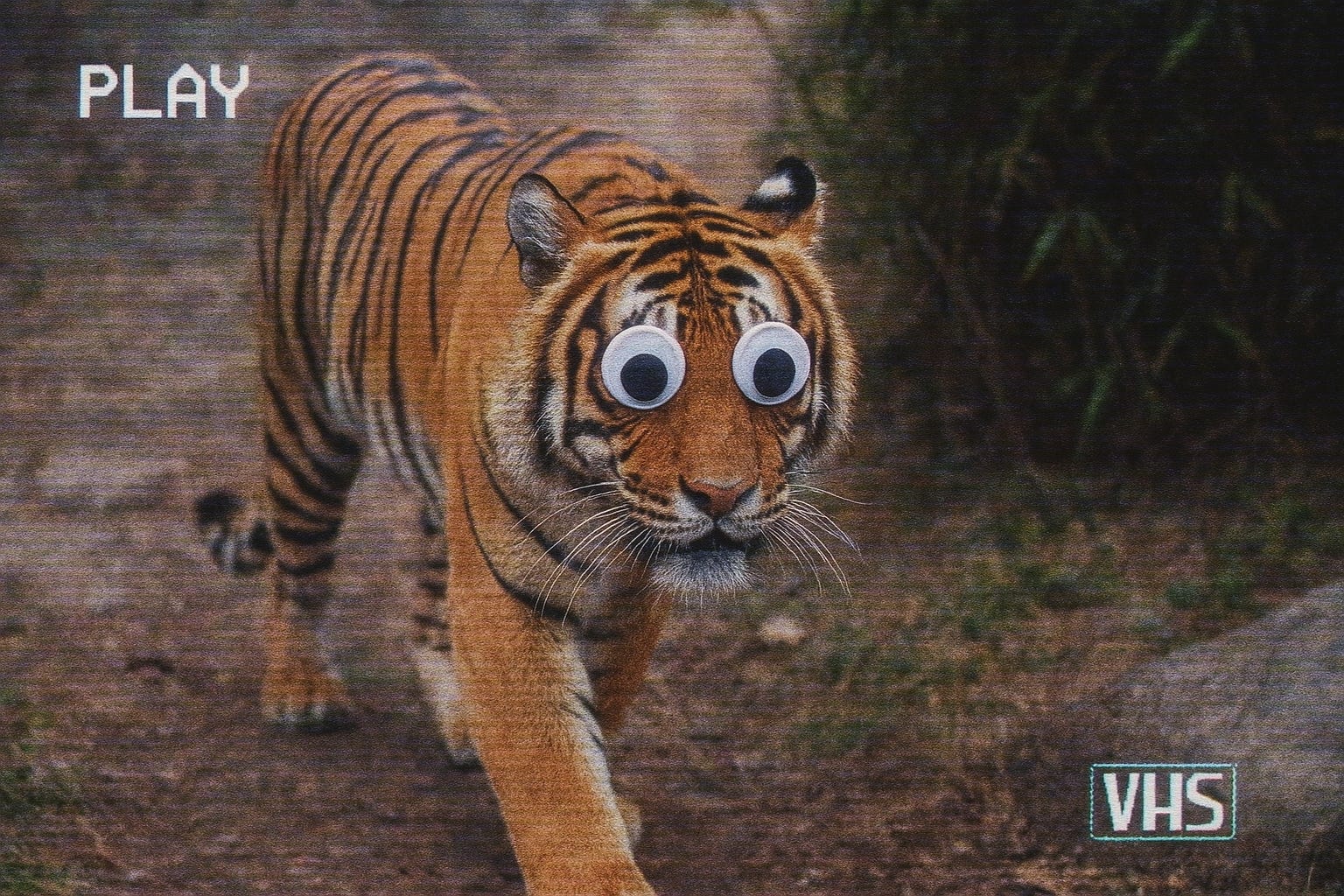 업로드 오류: 성공 - Upload Error: Success