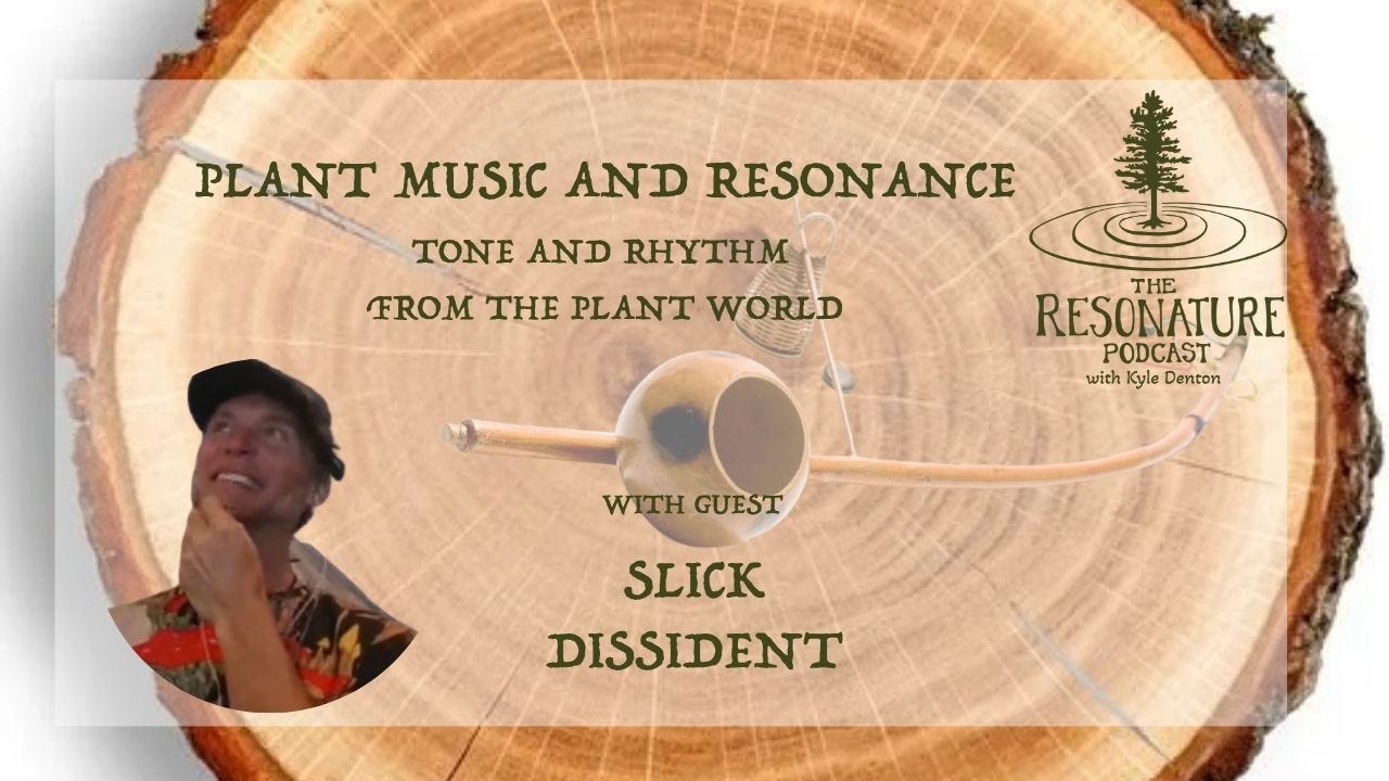 Ep 21 Plant Music and Resonance with Slick Dissident episode artwork