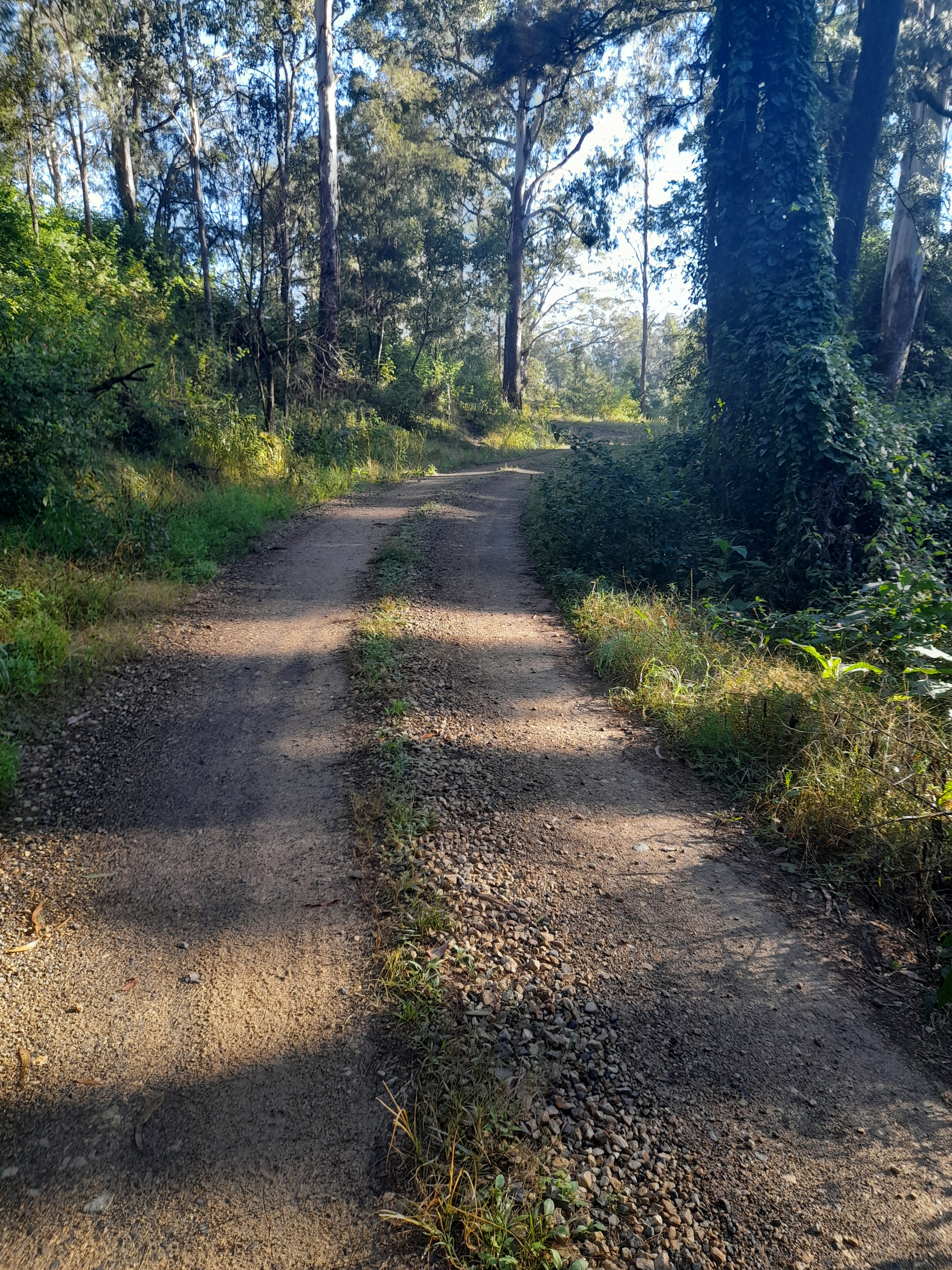 Finding Your Simple Heart - Contemplations Up A Dirt Road #2 Stillness episode artwork