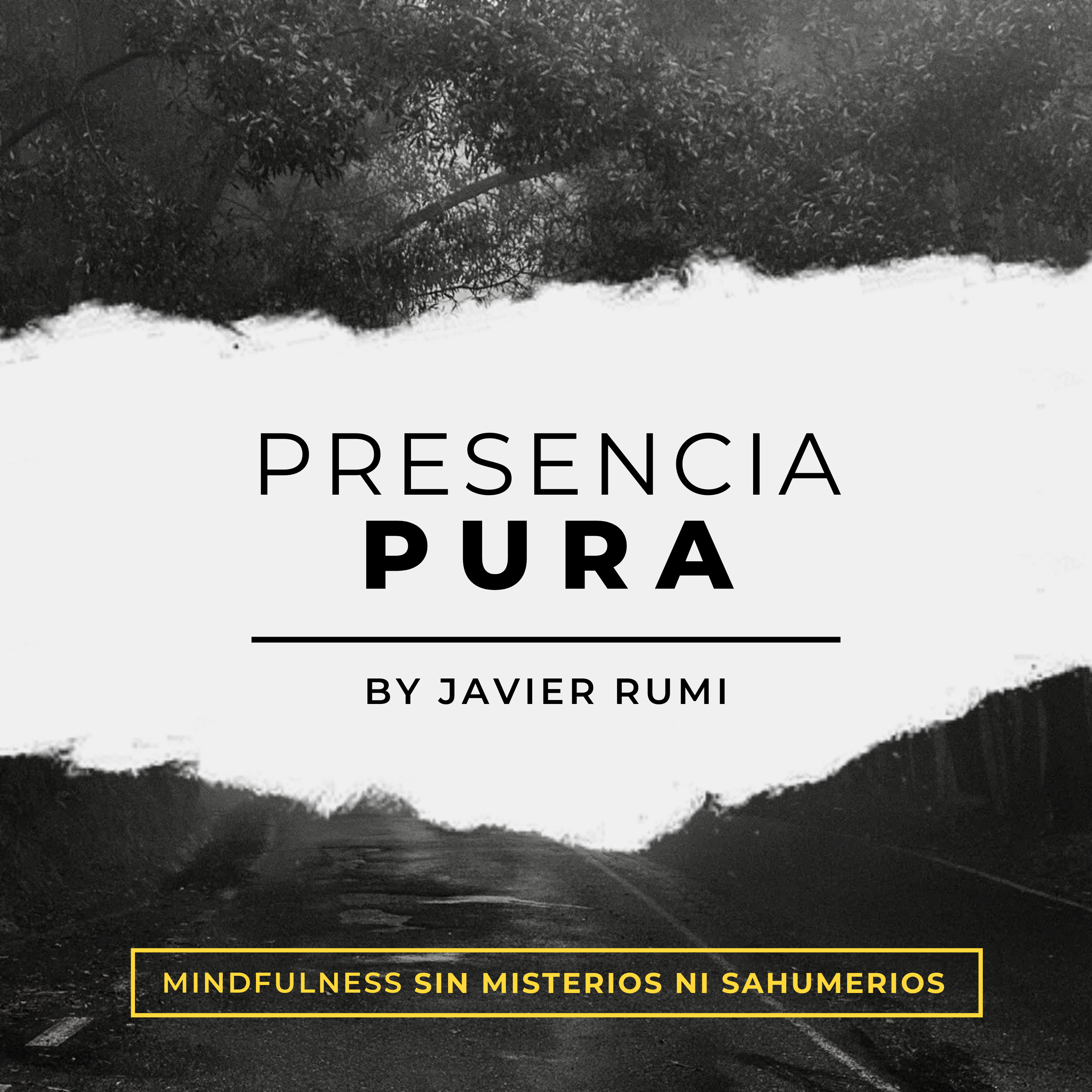 Presencia Pura by Javier Rumi: Contrastes