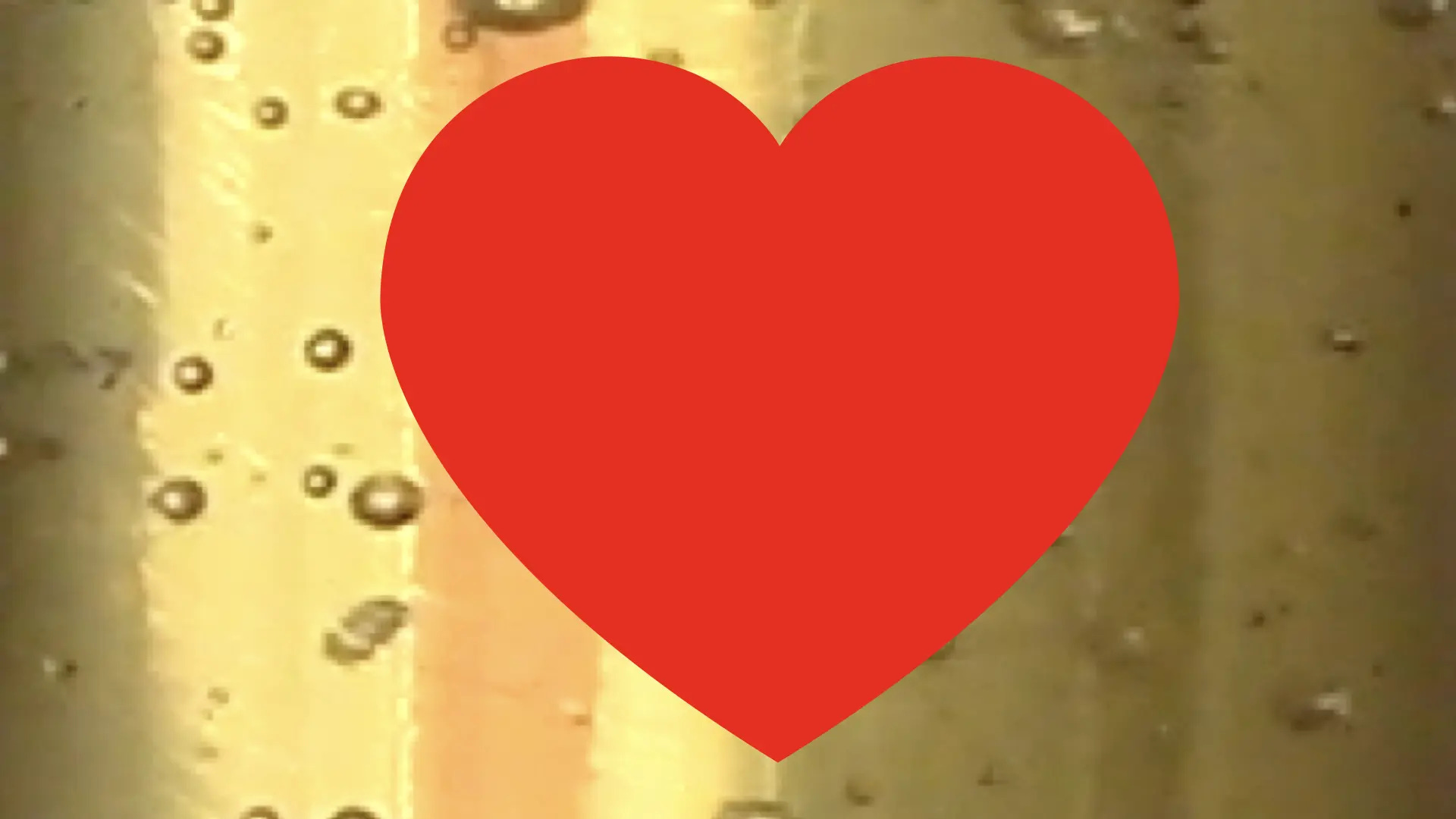 Love Honey? How corporate appropriation of beekeeping words led me to Substack and podcasting.