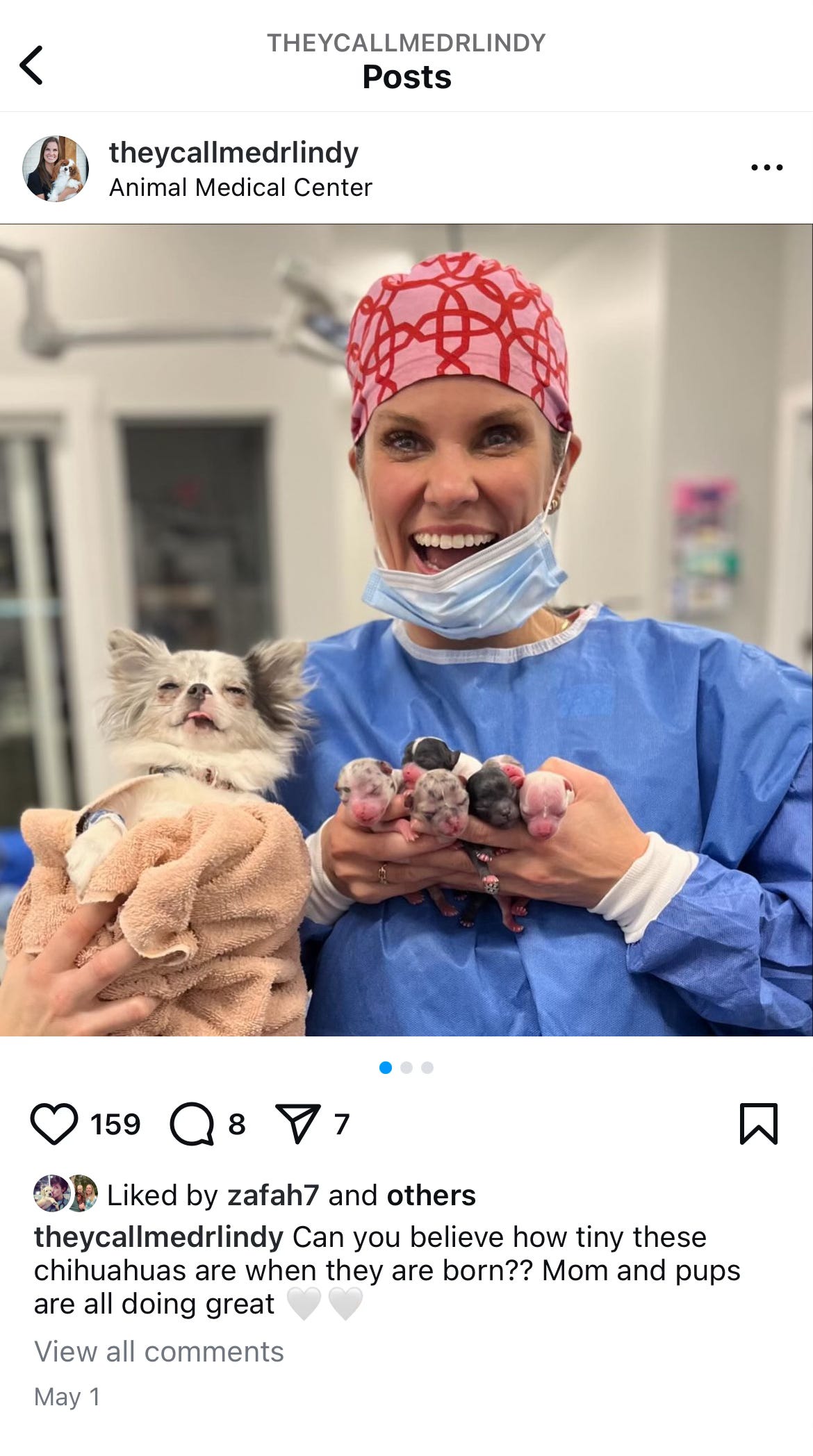 Get to know Dr. Lindy O'Neal