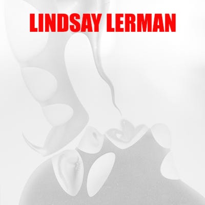 On the Cusp of Dissolution with Lindsay Lerman artwork