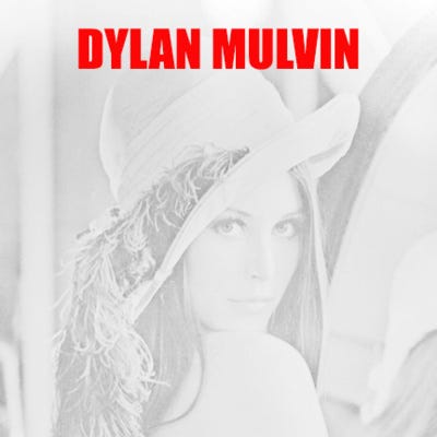 Dylan Mulvin on Proxies: The Cultural Work of Standing In artwork