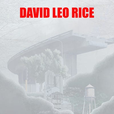 David Leo Rice - Drifter: Stories artwork