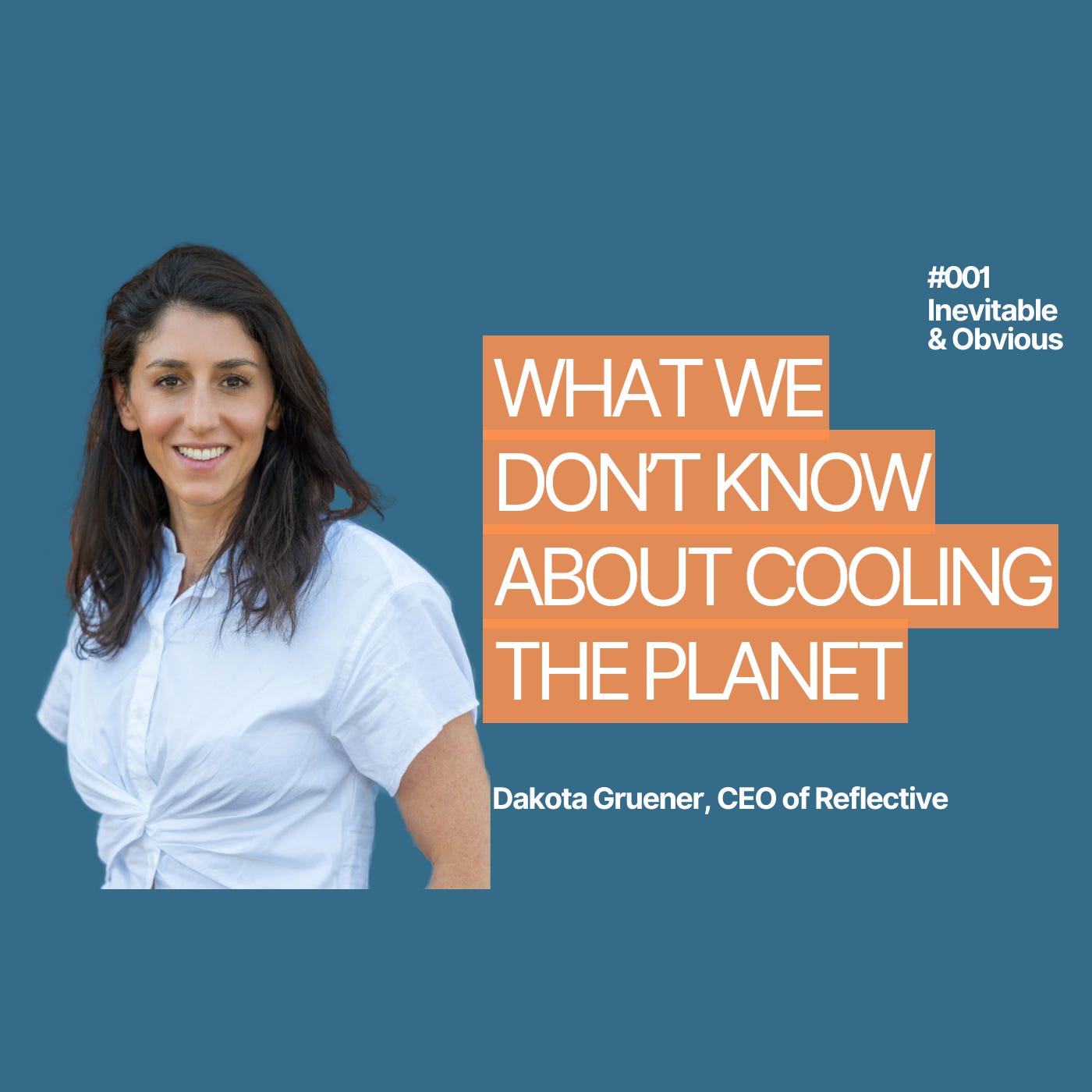 What We Don’t Know About Cooling the Planet — Dakota Gruener, CEO of Reflective episode artwork