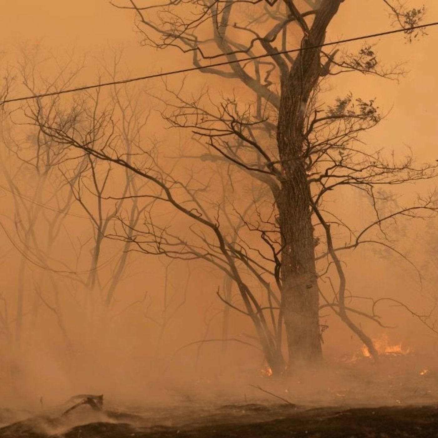 Richard Bednarski, Covering Fires and Smoke in the West as a Reporter and Photo Journalist episode artwork