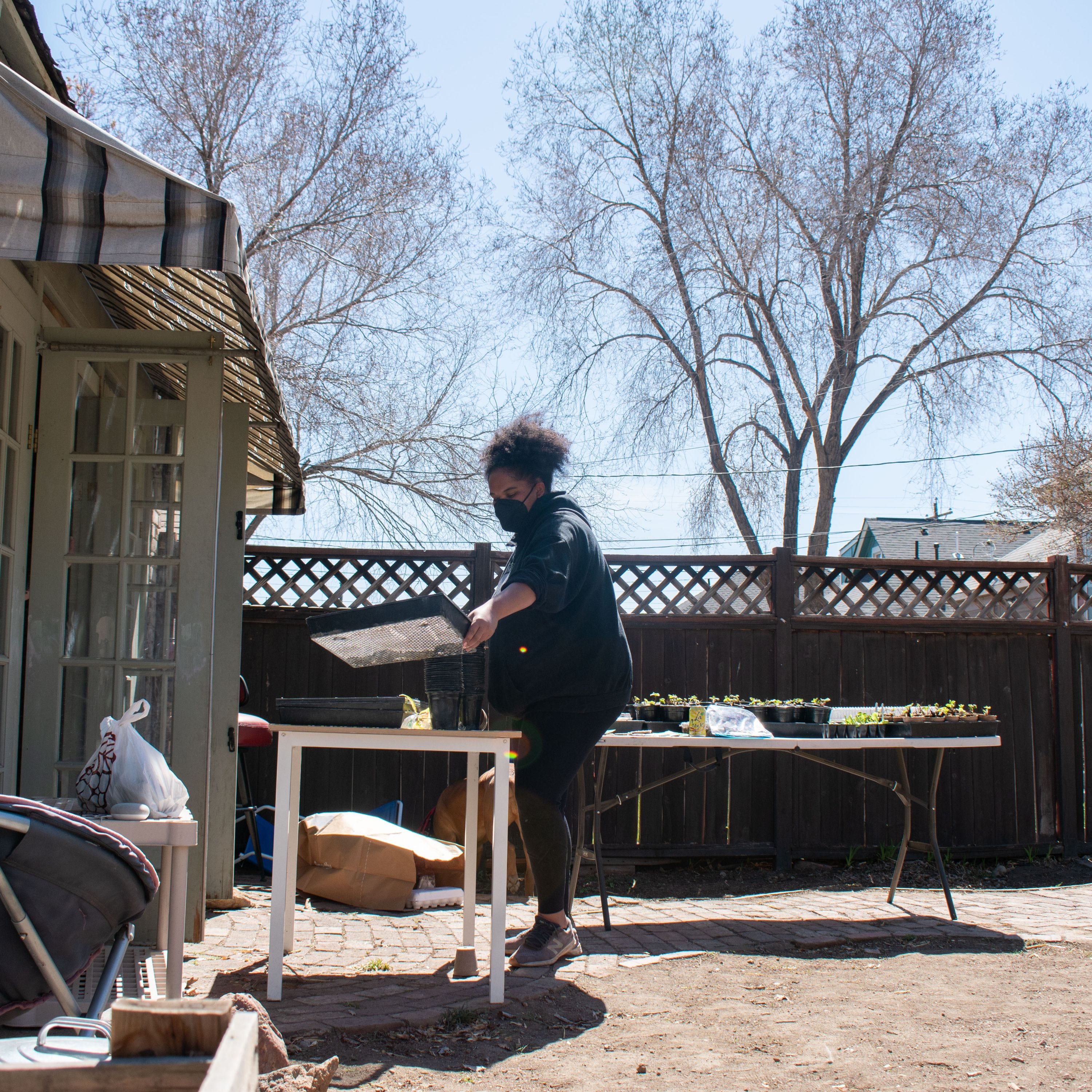 Lily Baran, Leading a New Garden Project to Heal and Grow episode artwork