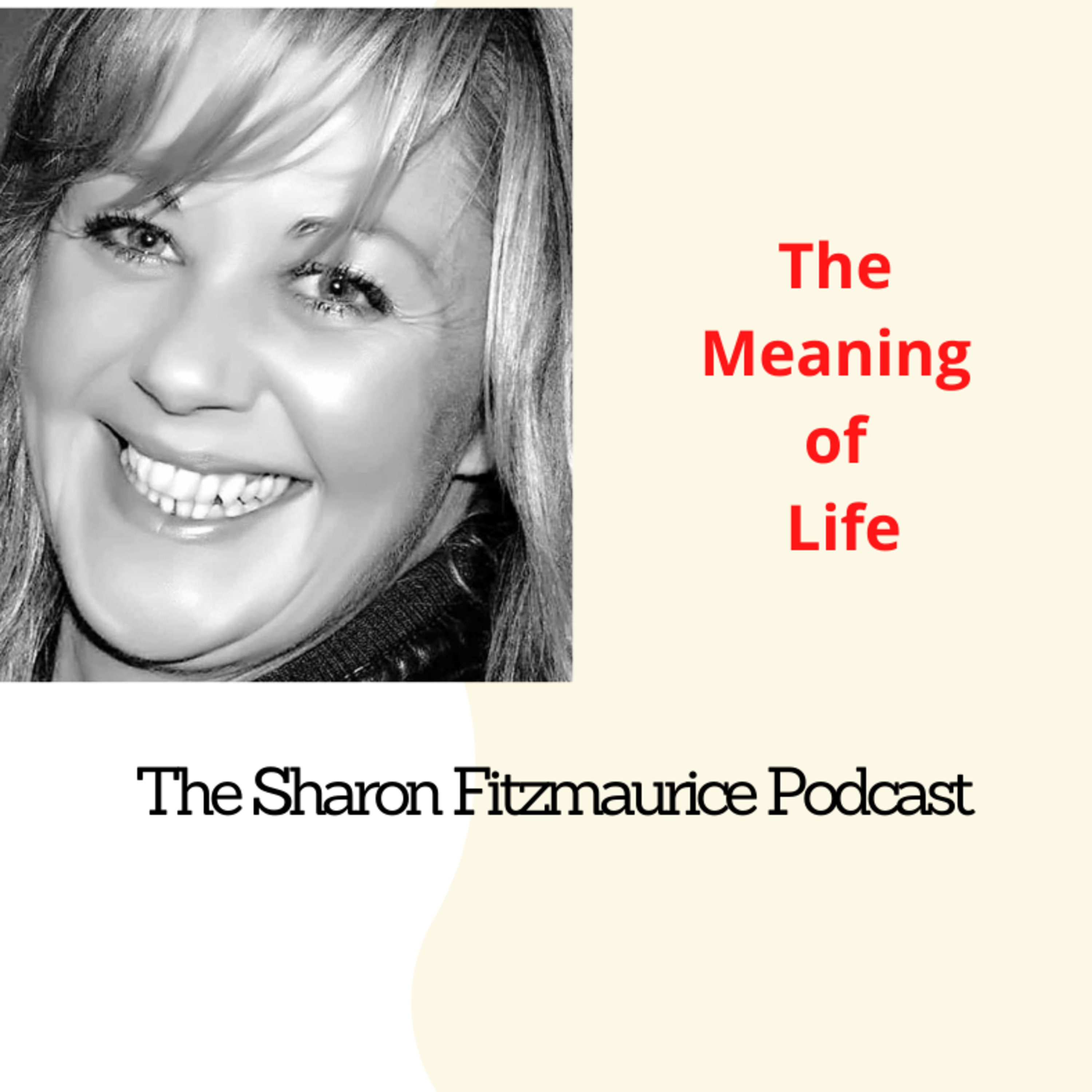 The Meaning of Life with Sharon Fitzmaurice