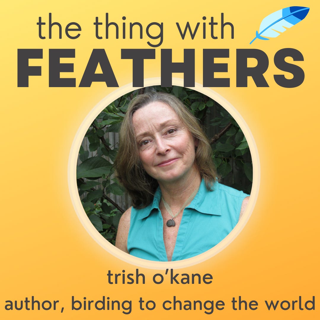 The Thing with Feathers: birds and hope with Courtney Ellis