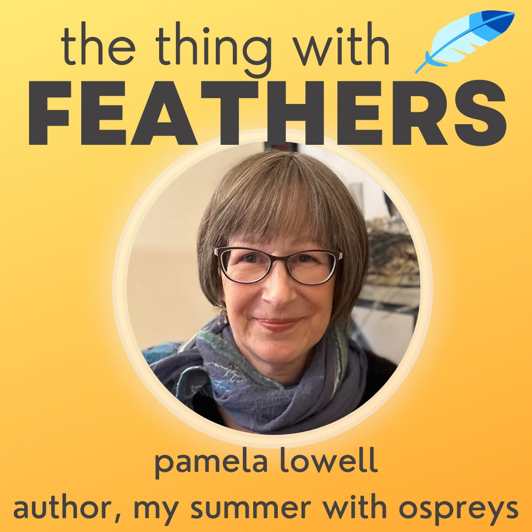 The Thing with Feathers: birds and hope with Courtney Ellis