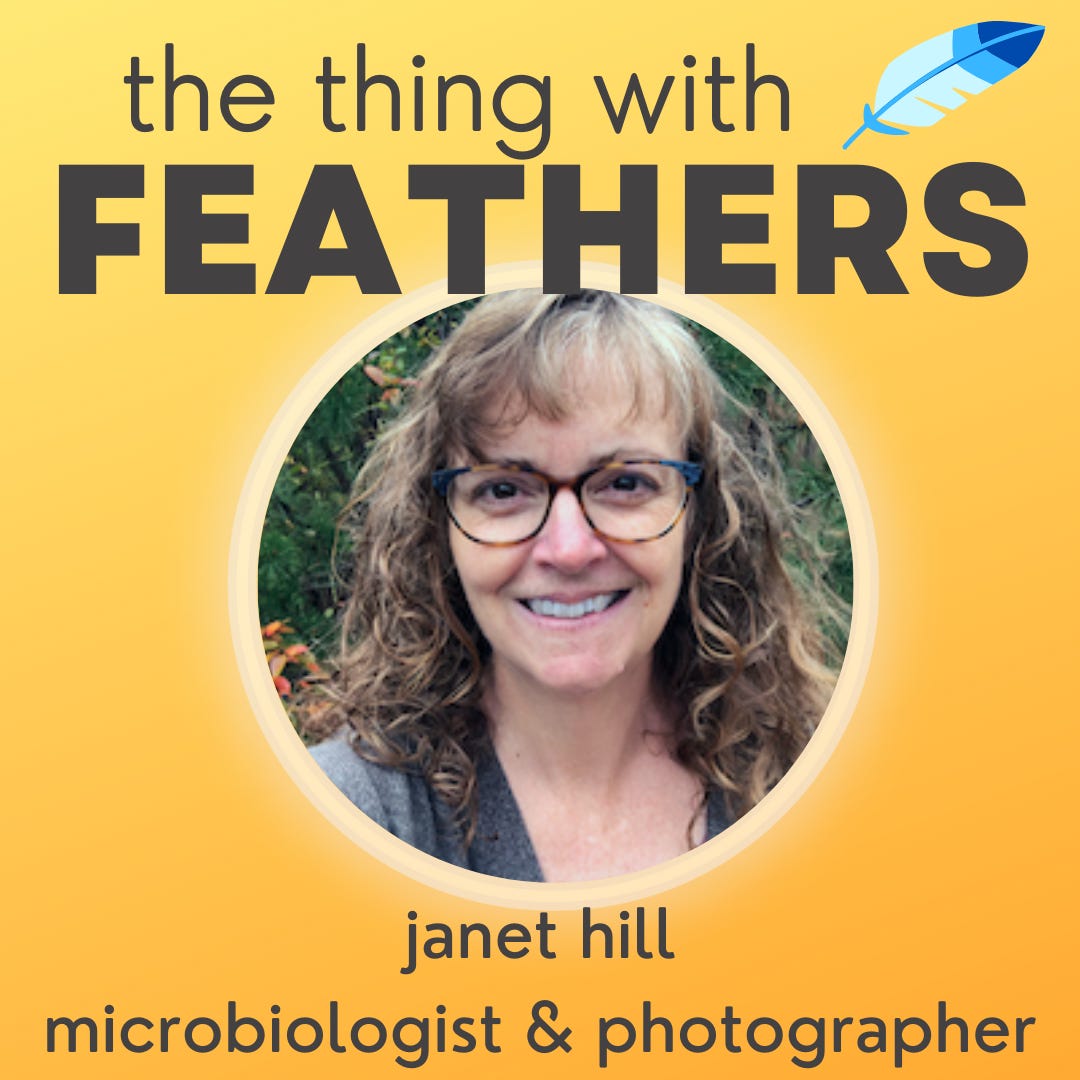 88: Winter Birding with Janet Hill 88: Winter Birding with Janet Hill
