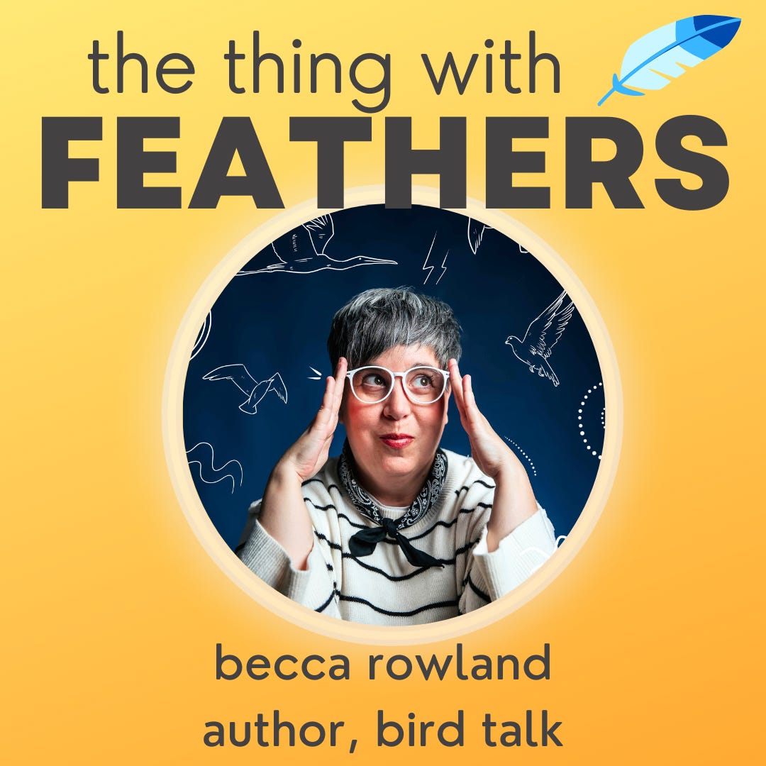110: Bird Talk with Becca Rowland