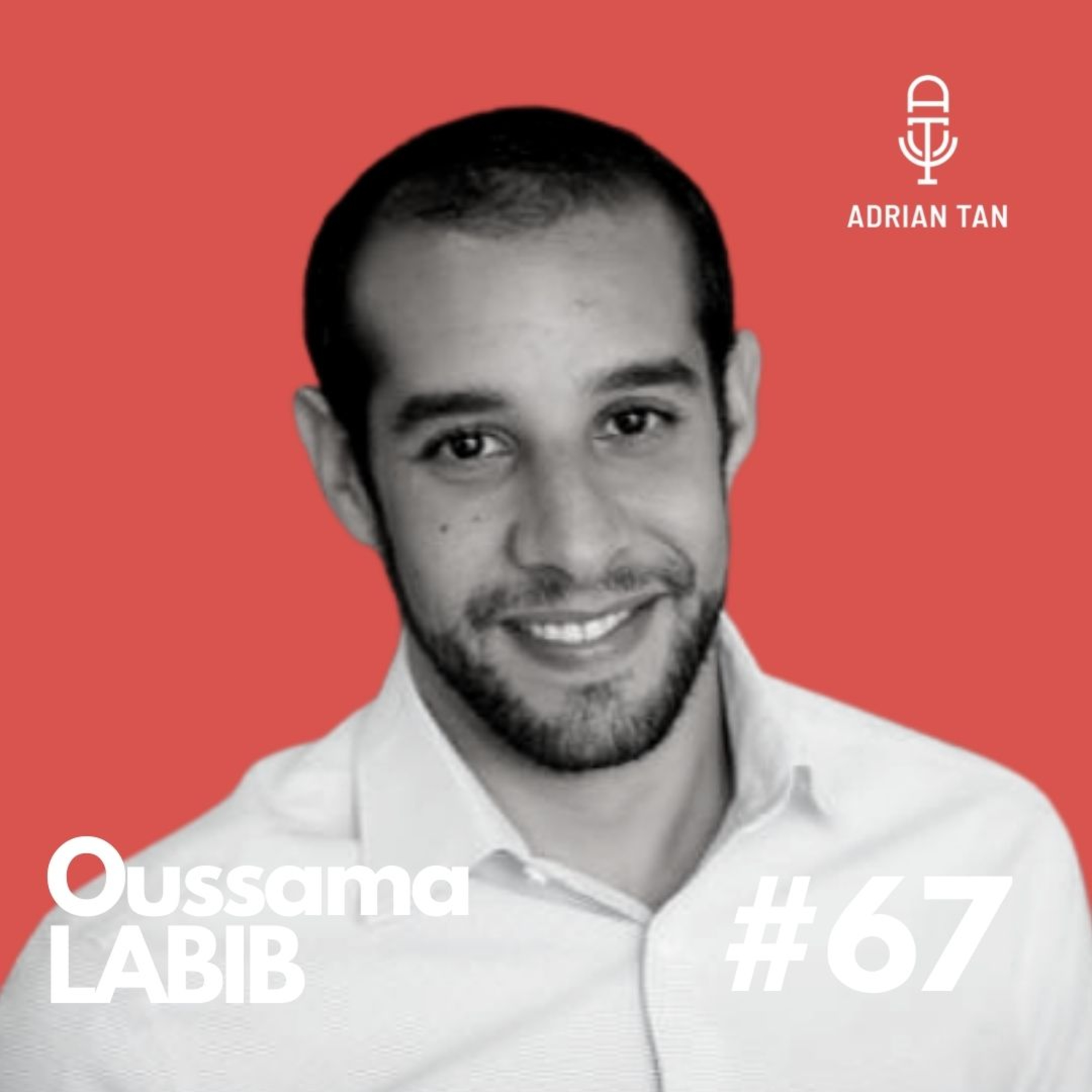 67: Oussama Labib on common missing L&D ingredient, team learning and the impact of culture episode artwork