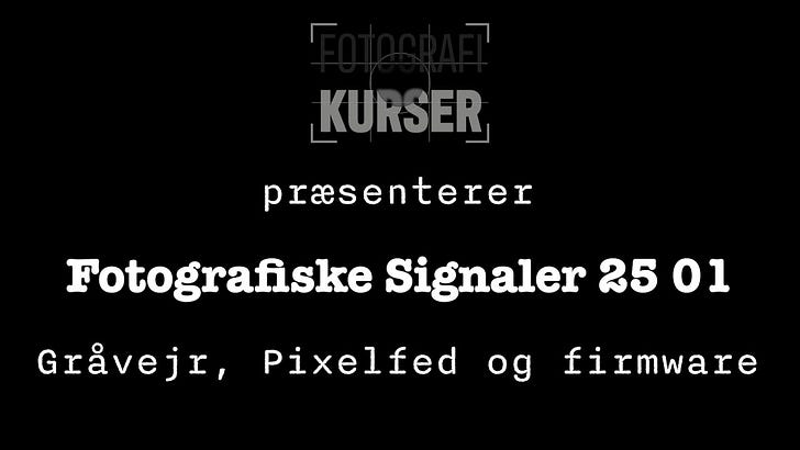 Fotografiske Signaler