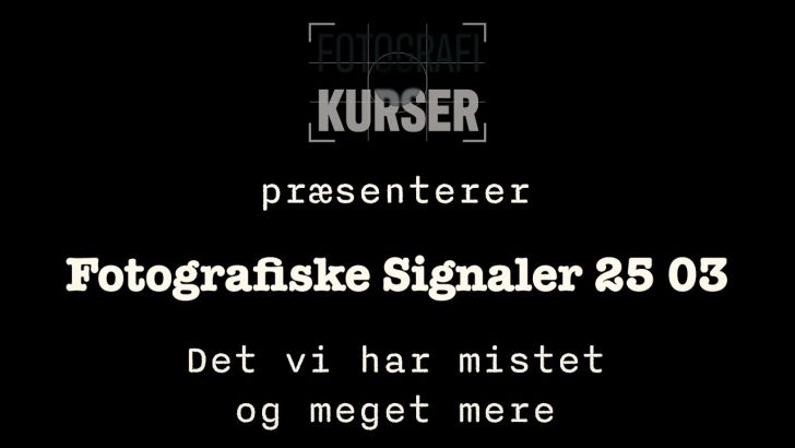 Det vi har mistet og meget mere