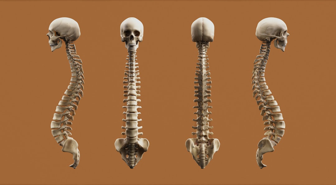 Check Your Posture—Prevent Future Book Pain episode artwork