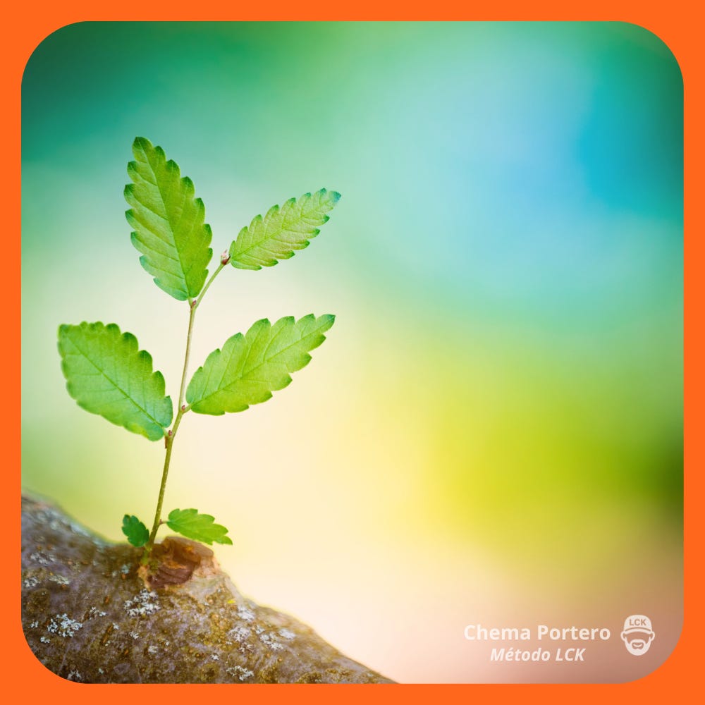 El Coach de Substack