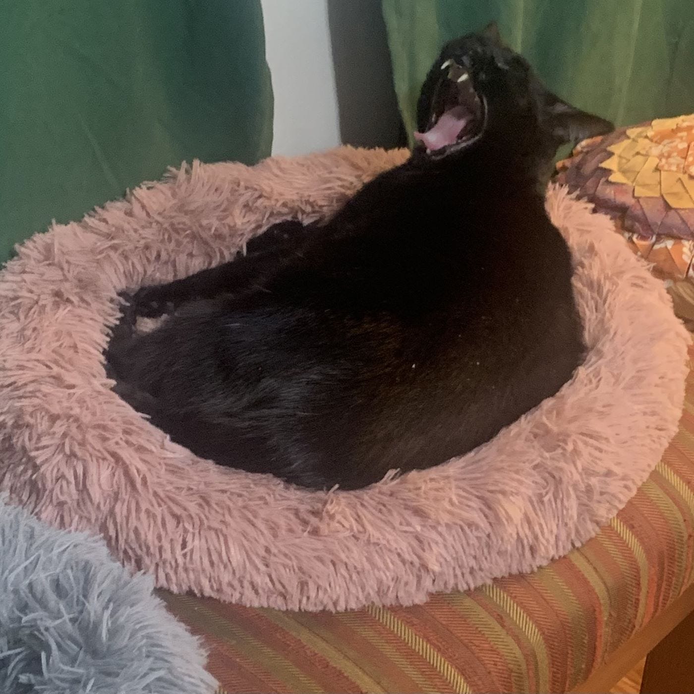 Day 220: Powerless Day 220: Powerless